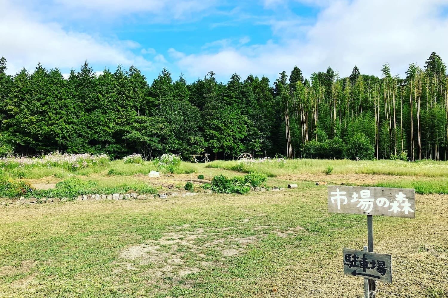 青空の下、草地の向こうに杉林と竹林が広がる「市場の森」。手書きの木の看板が立っている